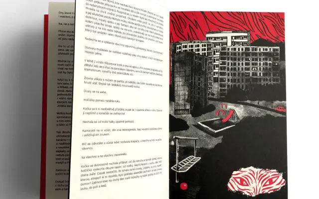 Kočičí kniha a hlasitá kapitola