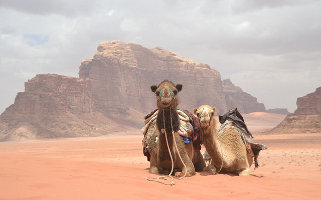 15% sleva na Camel Tour s Luna Desert
