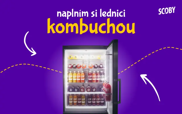 Naplním si lednici kombuchou