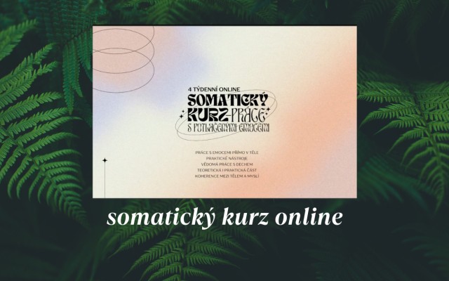 Somatický kurz online