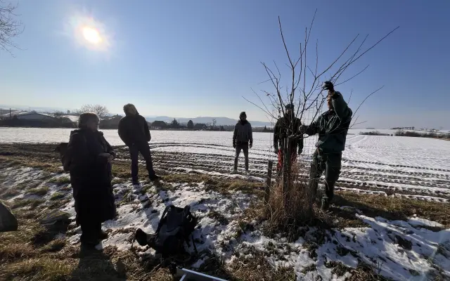 Den sadařské pomoci