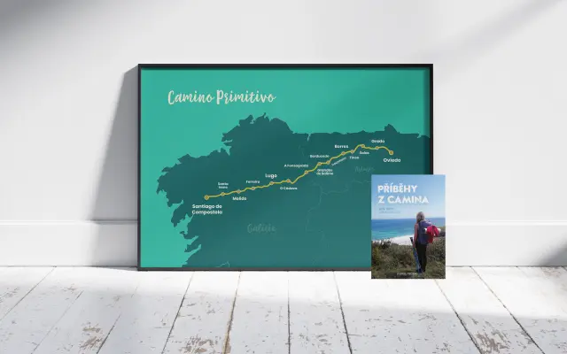 Kniha s věnováním + zarámovaný print 50×70 cm s podpisem (včetně poštovného)