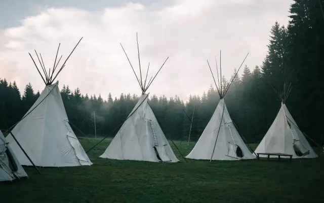 Léto uprostřed lesa!