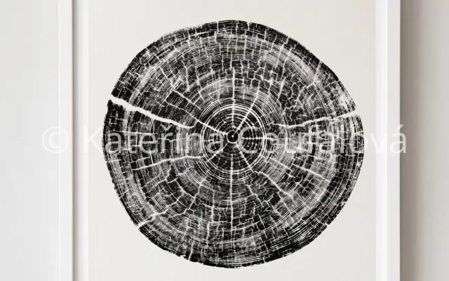Autorská grafika - 25x25cm