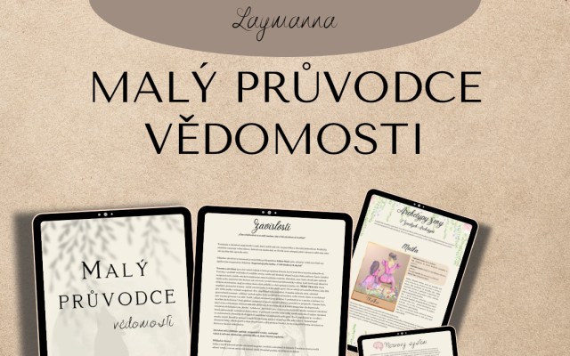 1x ebook Malý průvodce vědomosti