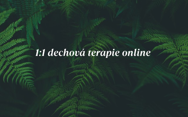 1:1 dechová terapie online