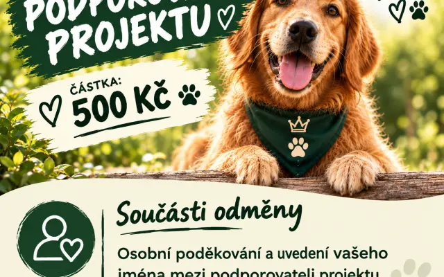 PODPOROVATEL PROJEKTU