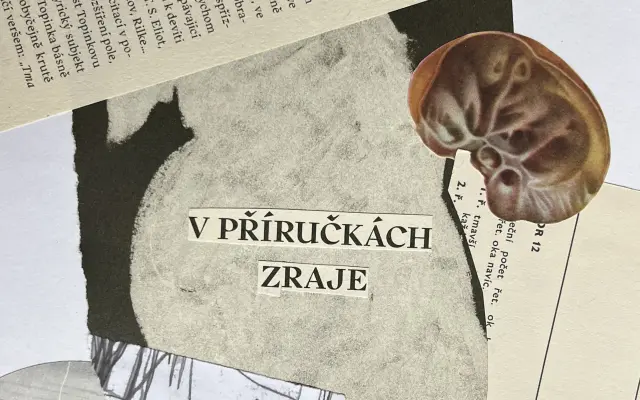 Koláž od Mery Je Iluze