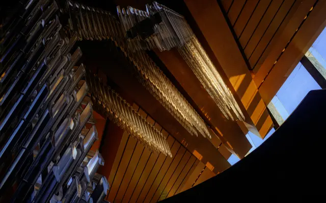 10x fotografie 10x15 - poslední ráno v NONĚ