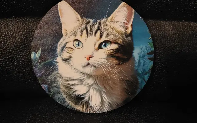 KNIHA Modřanský Mikeš+PODTÁCEK Mikeše