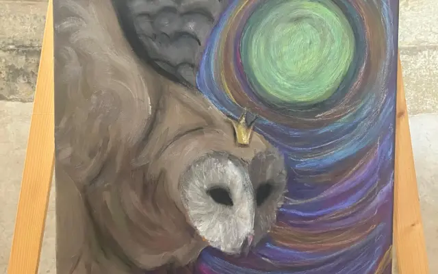 obraz magická sova