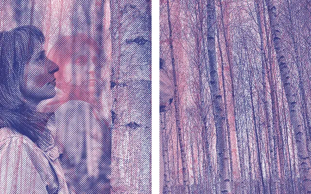 CD LUCIDNí SNĚNí plus plátěná taška