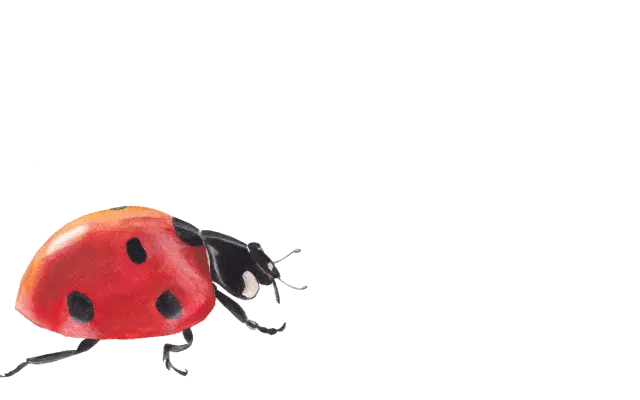 Dobrý pocit