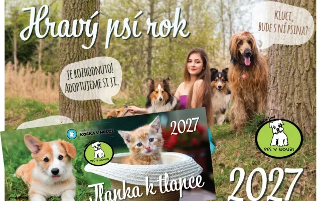 Sada nástěnný a stolní kalendář pro rok 2027 - doručení na adresu