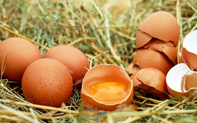 šest kusů domácích vajec z komunitního chovu