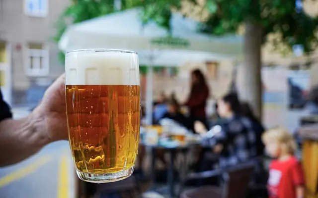 9° VEG*ALE MÁJA