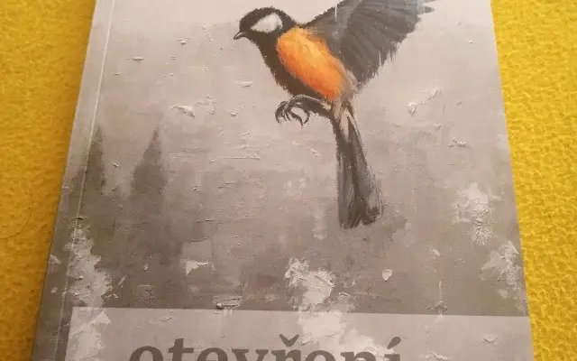 Kráskozvíře a Zpěvy ulice