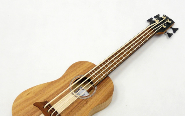 individuální hodina hry na basové ukulele