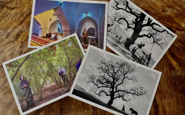 Poděkování - pohlednice - Personal thank you note send by the postcard