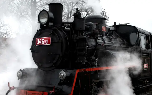 Očima strojvedoucího v parním vlaku