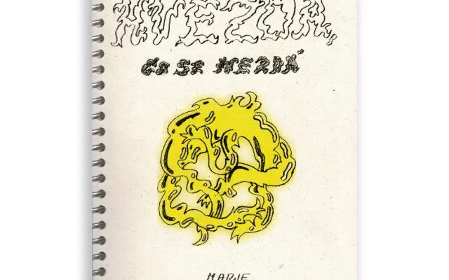 Hvězda, co se nezdá - Marie Lukášová