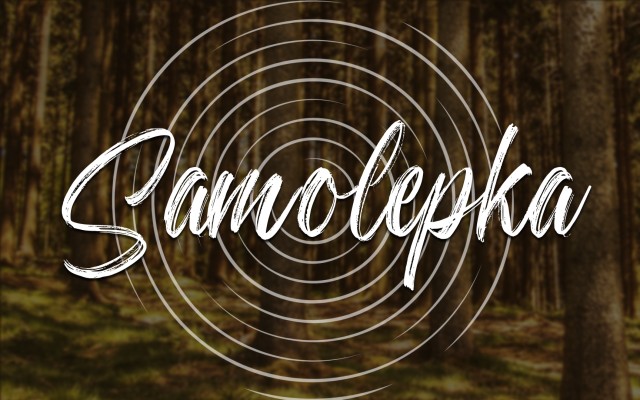 Samolepka