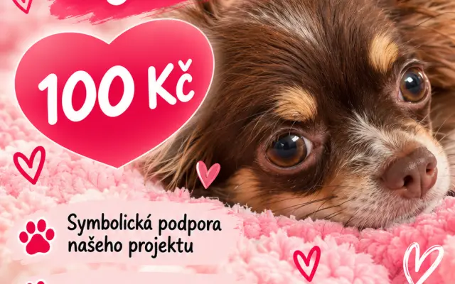 Virtuální pohlazení Xyrušky