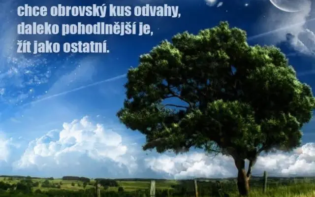 Sponzor