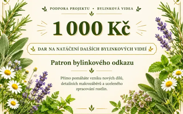 1000 Kč - patron bylinkového odkazu