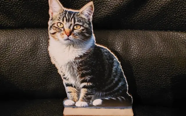 KNIHA Modřanský Mikeš+ SEDÍCÍ Mikeš