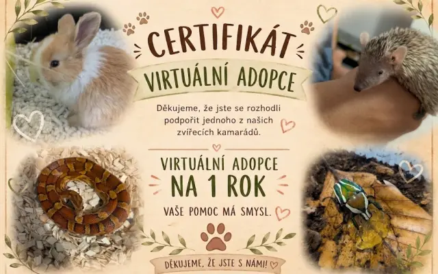 Staňte se virtuálním adoptivním rodičem jednoho z našich zvířátek na celý rok.