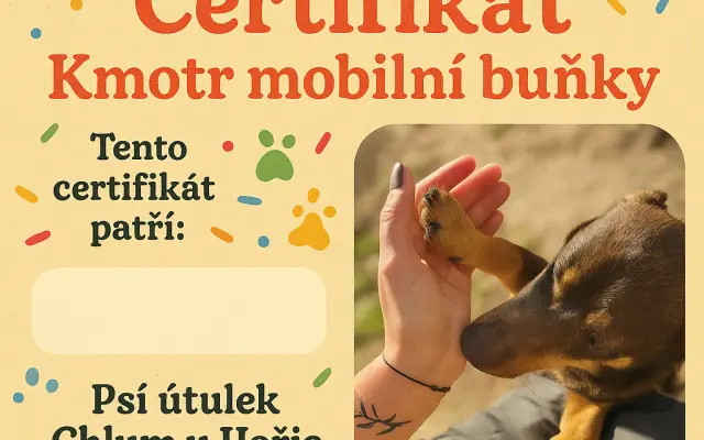 Certifikát Kmotr mobilní buňky ❤️🐕🐾