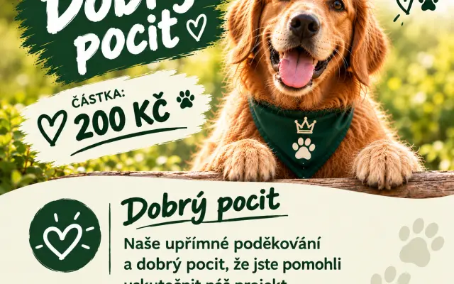 Dobrý pocit