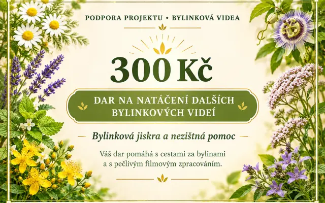 300 Kč - bylinková jiskra a nezištná pomoc