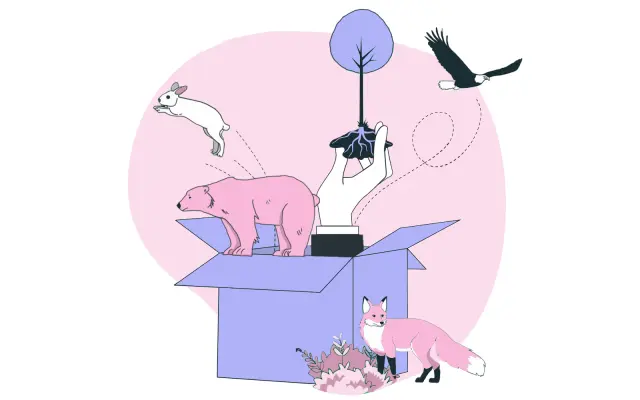 Smyslobox LES