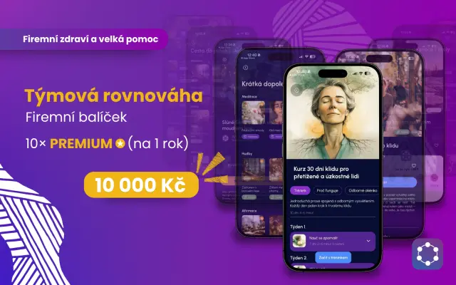 Týmová rovnováha (Firemní balíček) – 10× Premium na rok