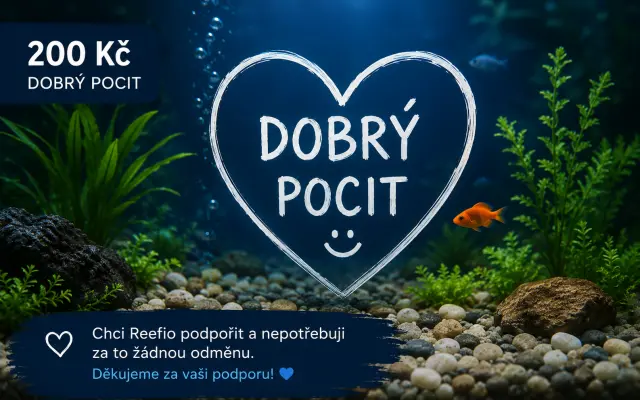💙 ODMĚNA – DOBRÝ POCIT