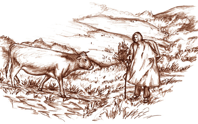 Patron knižních ilustrací - setkání s krávami v horách