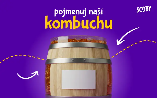 Pojmenuj naší kombuchu :)