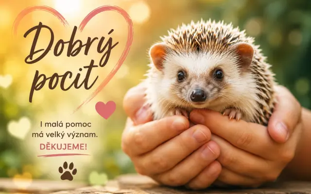 ❤️Odměna za dobrý pocit