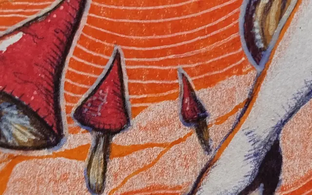 Malý balíček - LP + merch