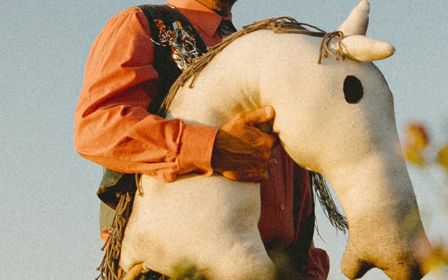 COWBOY'S HOBBY HORSE 🐴 🐴 🐴