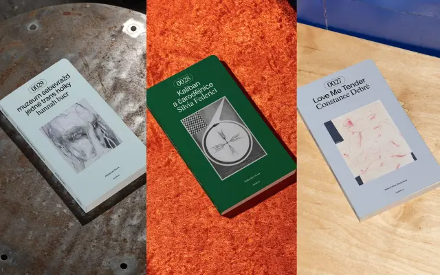 „Vzpurný balíček“ – Silvia Federici, hannah baer, Constance Debré