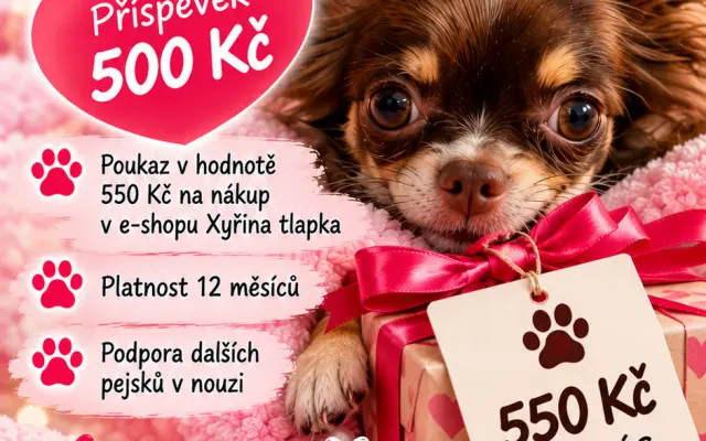 Poukaz 550 Kč