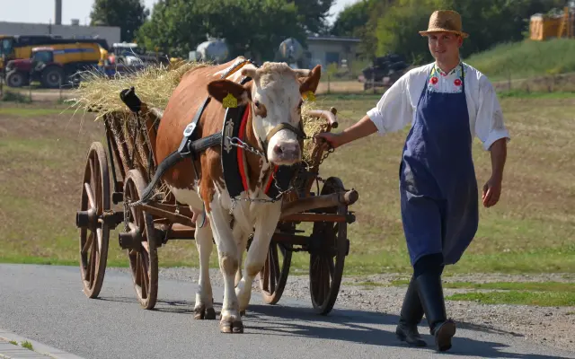 Privátní jízda na voze taženém Matyldou