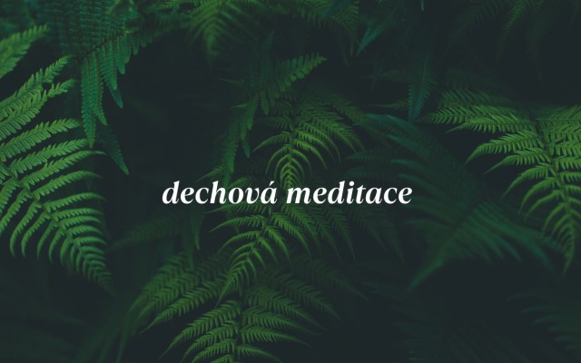 Záznam dechové meditace