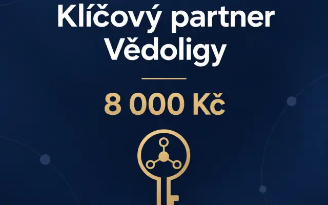 Klíčový partner
