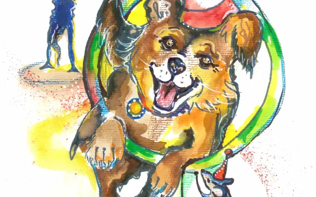Ilustrace ke třem písním dle výběru ve formátu A4