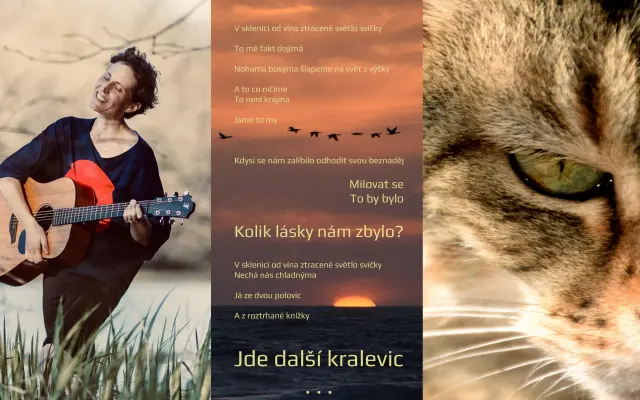 Album “A*la - Ze dna” v digitální podobě (mp3, wav, flac) + sbírka poezie a fotografií + autorská fotografie 60x40cm dle vašeho výběru