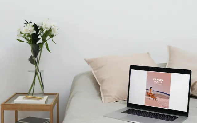 Můj e-book Dánská holka